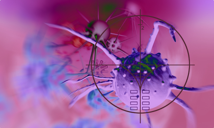 targeted cancer cell